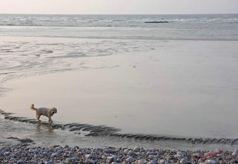 Cjp_2010_04_14_173206 (2).jpg